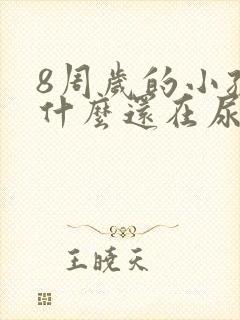 8周岁的小孩为什么还在尿床