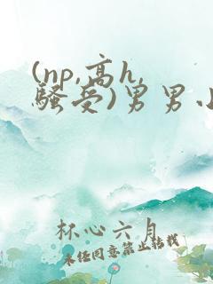 (np,高h,骚受)男男小说