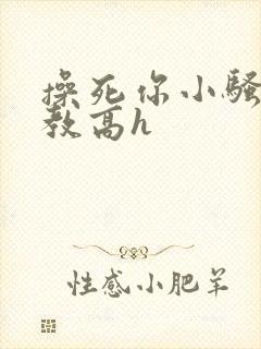 操死你小骚货调教高h