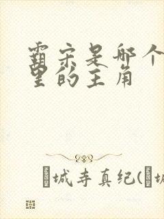 霸宋是哪个小说里的主角