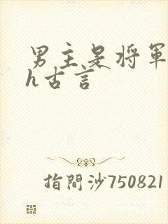 男主是将军的高h古言