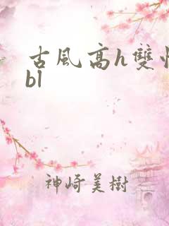 古风高h双性受bl