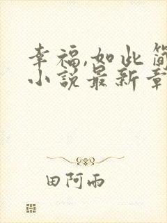 幸福,如此简单小说最新章节阅读全文