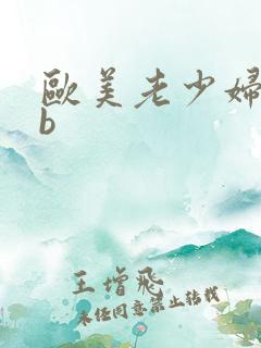 欧美老少妇bbb