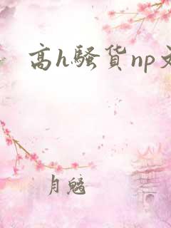 高h骚货np文