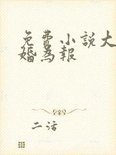免费小说大恩以婚为报