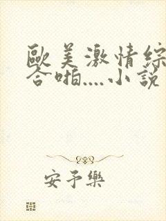 欧美激情综合综合啪....小说