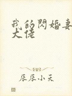 我的闪婚妻子是大佬