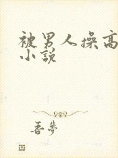 被男人操高潮的小说