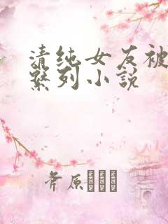 清纯女友被开发系列小说