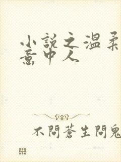 小说之温柔只给意中人