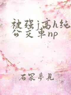 被强j高h纯肉公交车np