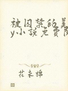 被囚禁的美人by小说免费阅读