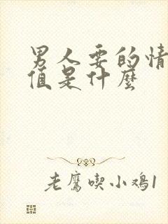 男人要的情绪价值是什么