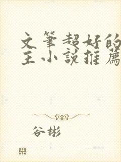 文笔超好的双男主小说推荐