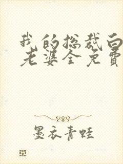 我的总裁白富美老婆全免费的小说