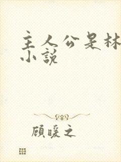 主人公是林凡的小说