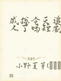 戚总今天追到夫人了吗短剧全集免费观看