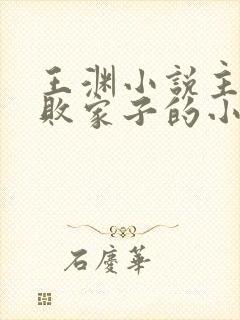 王渊小说主角是败家子的小说名字