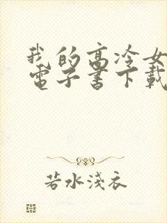 我的高冷女总裁电子书下载