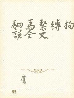 驷马紧缚拘束小说全文