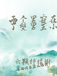 两个男宠在一起了双男主小说