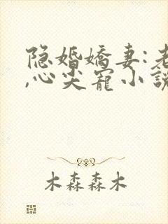 隐婚娇妻:老公,心尖宠小说