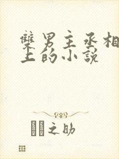 双男主丞相和皇上的小说