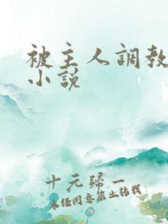 被主人调教惩罚小说