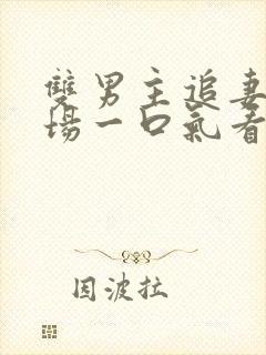 双男主追妻火葬场一口气看完