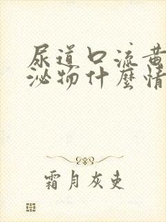 尿道口流黄色分泌物什么情况