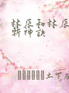 林辰和林辰九天斩神诀