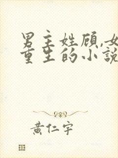 男主姓顾,女主重生的小说