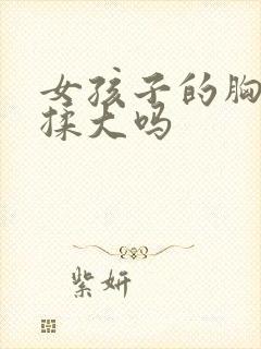 女孩子的胸可以揉大吗