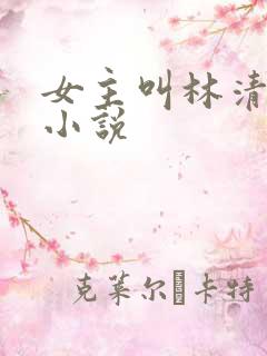 女主叫林清禾的小说