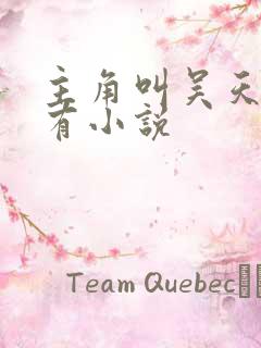 主角叫吴天的所有小说