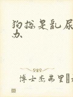 狗总是乱尿怎么办