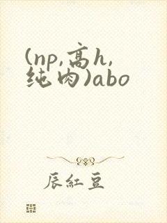 (np,高h,纯肉)abo