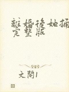 离婚后她捅破天完整版