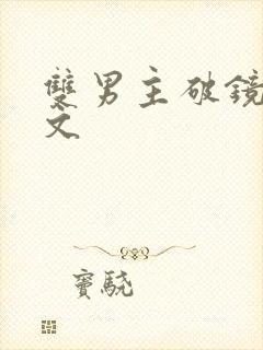 双男主破镜重圆文