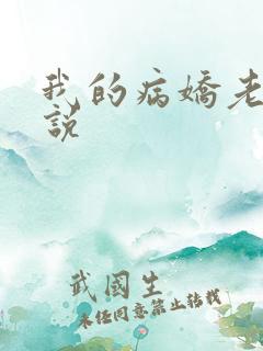 我的病娇老婆小说