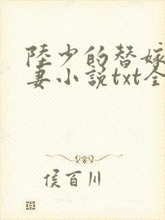 陆少的替嫁小娇妻小说txt全文下载