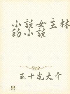 小说女主林筱凡的小说