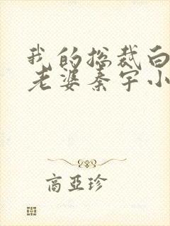 我的总裁白富美老婆秦宇小说正版