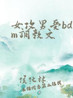 女攻男受bdsm调教文