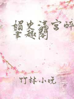 媚史满宫醉小说笔趣阁