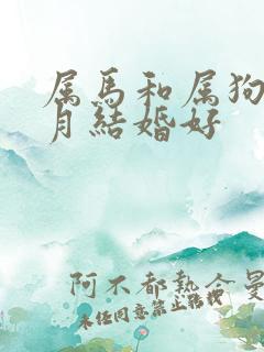 属马和属狗的几月结婚好