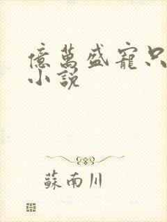 亿万盛宠只为你小说