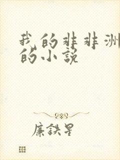我的非非洲男友的小说
