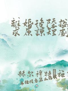 离婚后陆总跪着求原谅短剧全集免费播放